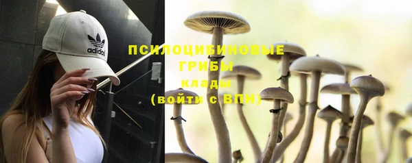 молекула духа Снежногорск