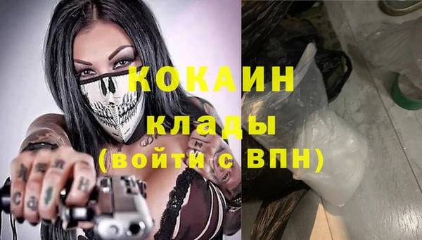 твердый Арсеньев