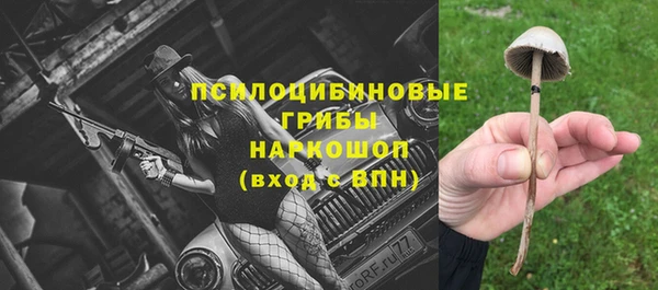 прущая мука Армянск