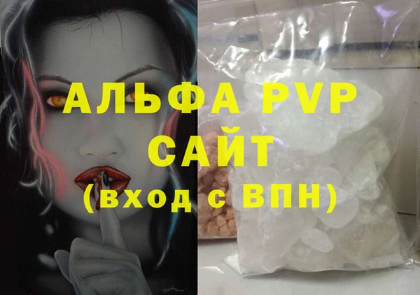 молекула духа Снежногорск